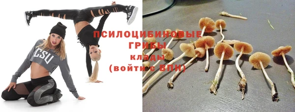 шишки Великий Новгород