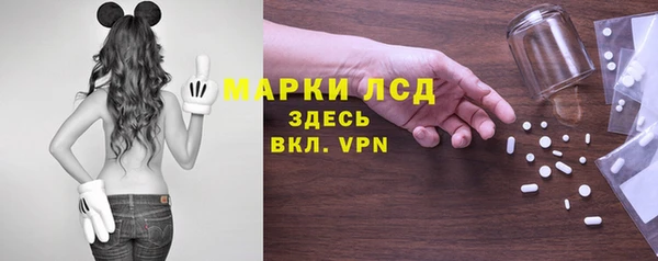 шишки Великий Новгород