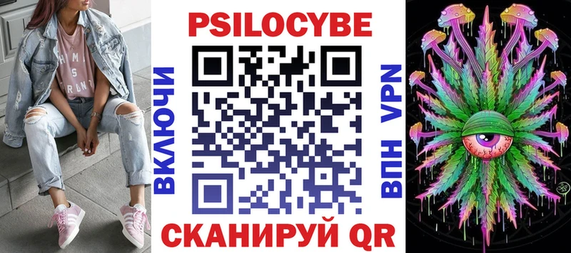 Галлюциногенные грибы Psilocybine cubensis  Курган 