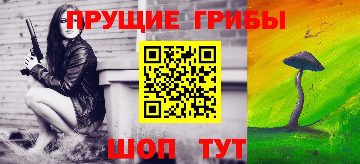 Псилоцибиновые грибы прущие грибы Курган