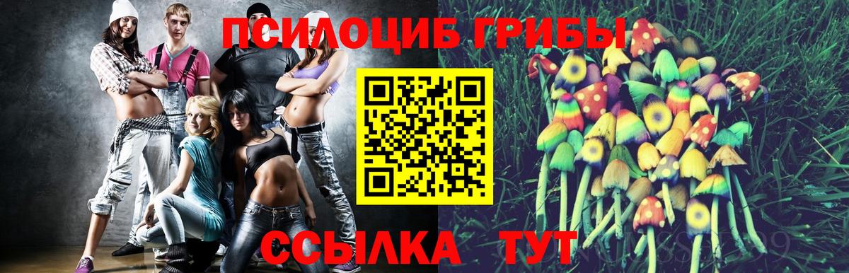 Курган  Псилоцибиновые грибы MAGIC MUSHROOMS  сколько стоит  Псилоцибиновые грибы GOLDEN TEACHER  Вход с VPN 